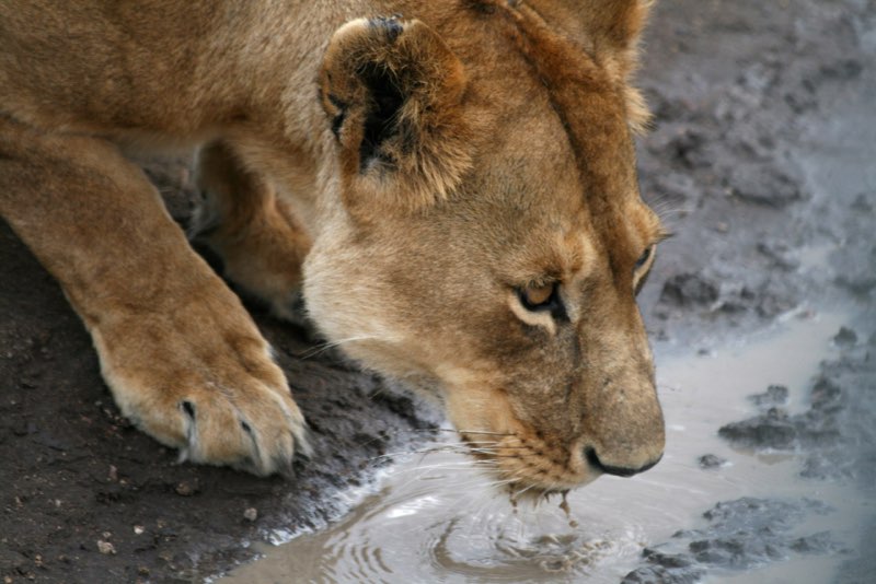Africa photograph 52: IMG 8426