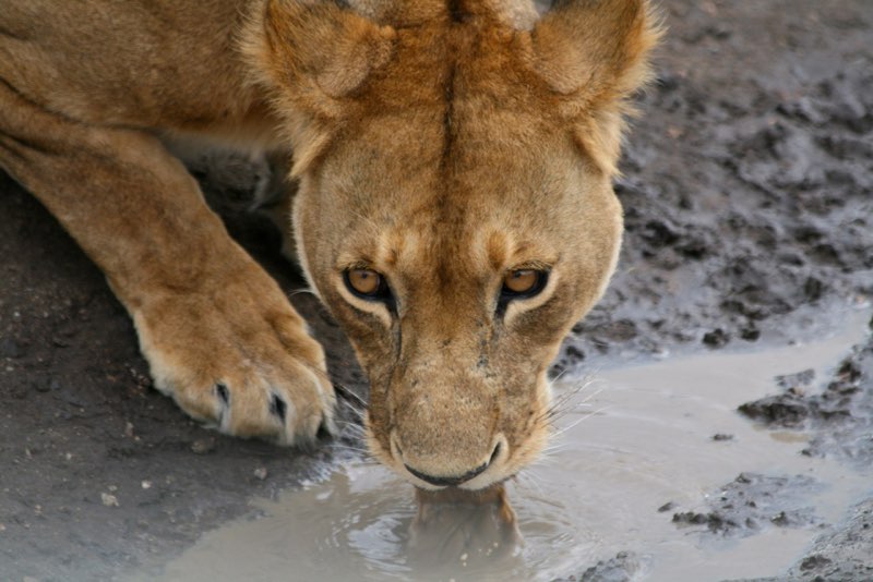 Africa photograph 53: IMG 8437