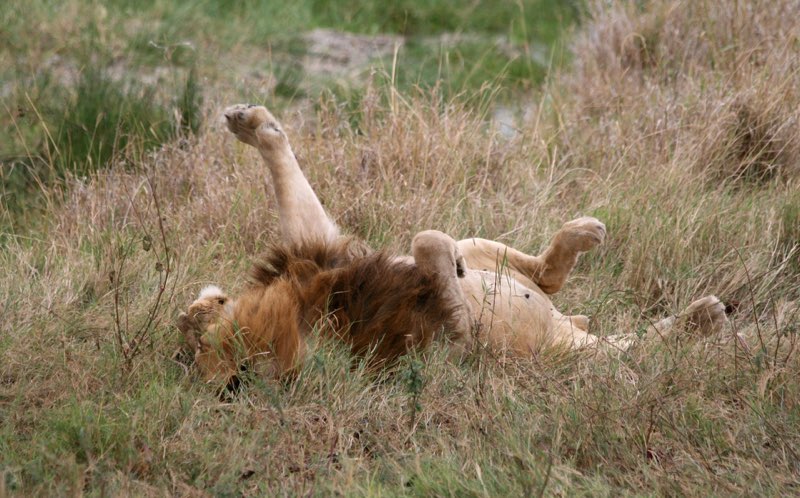 Africa photograph 63: IMG 8738