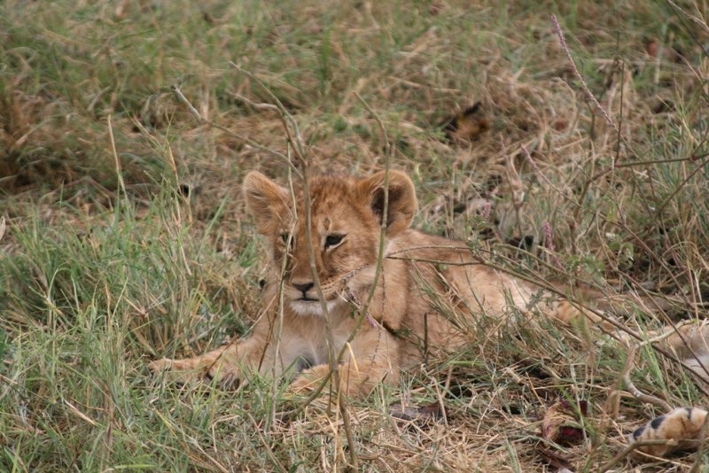 Africa photograph 64: IMG 8770