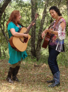 The Moon Lights performing outdoors